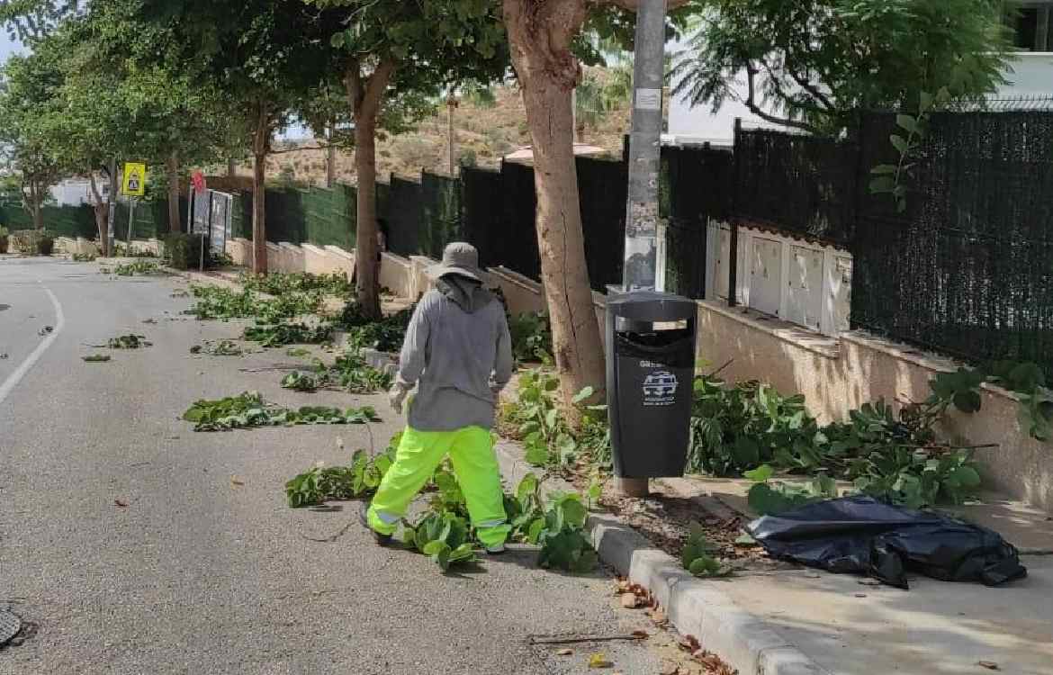 El Ayuntamiento de Rincón de la Victoria renueva los trabajos de limpieza, desbroce y mantenimiento de zonas y parcelas municipales